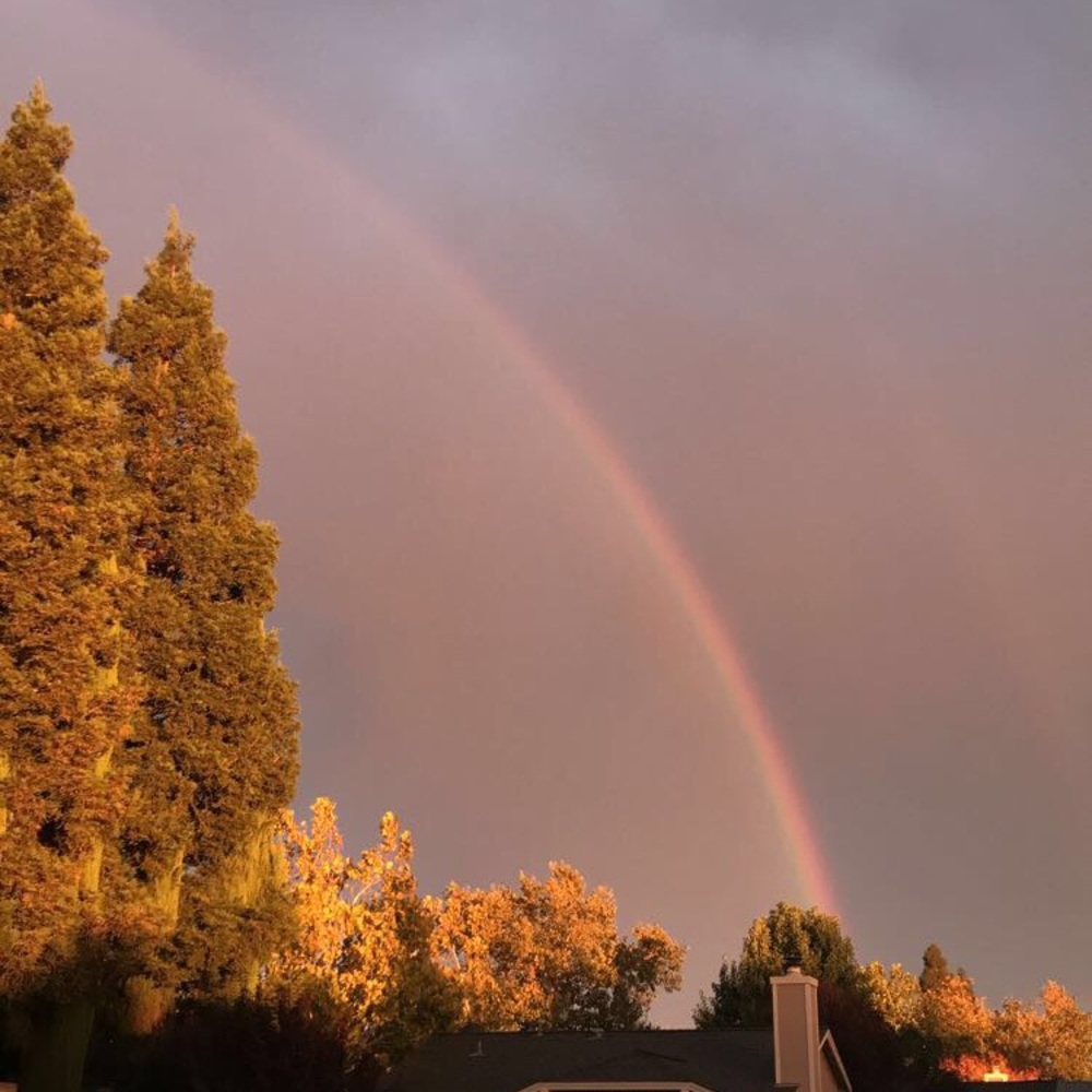 Meet your Posher, Delaney